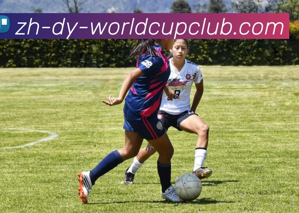 世界杯买球平台生态图